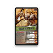 Picture of TOP TRUMPS SPIDERS